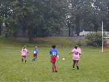Click to see P9230076.JPG